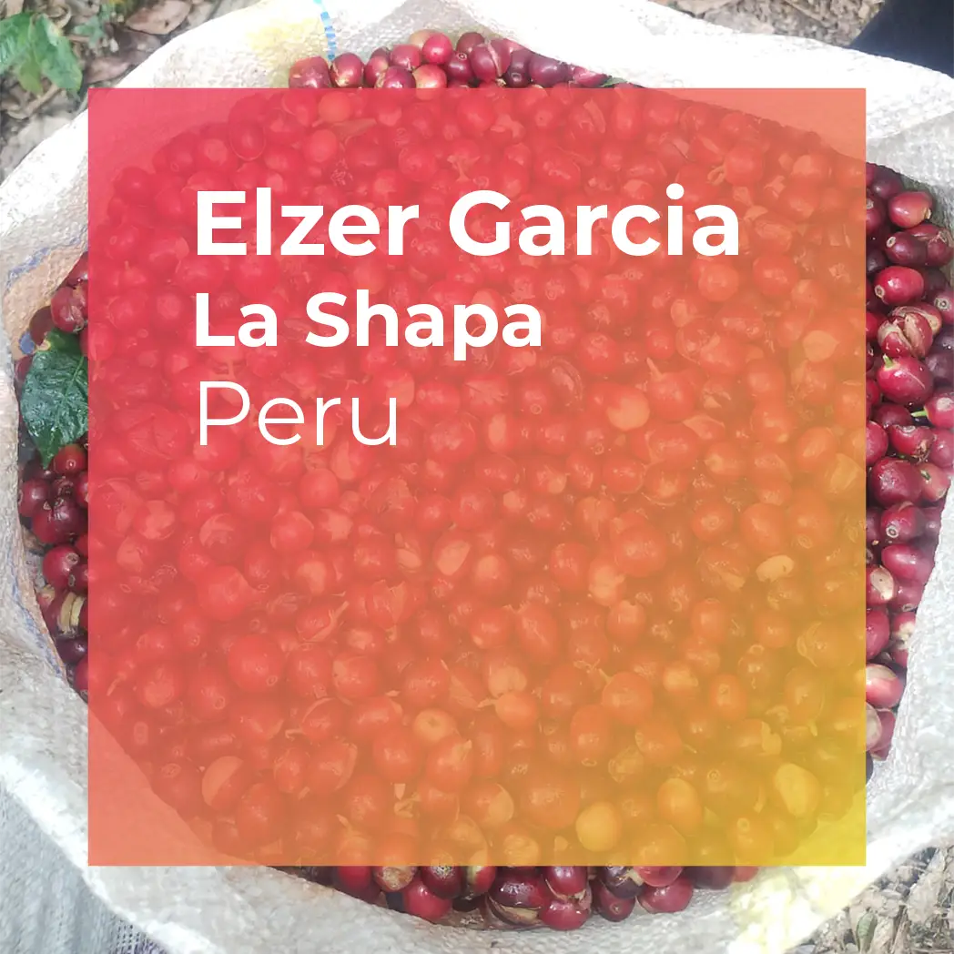 ELZER GARCIA, La Shapa Washed Caturra