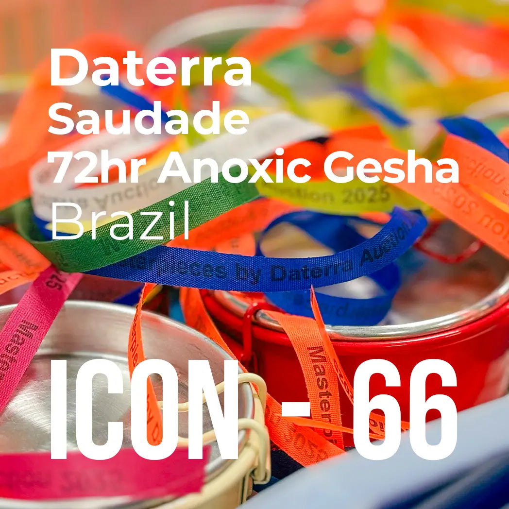 ICON 66 - Daterra Masterpiece, 72hr Anoxic Gesha
