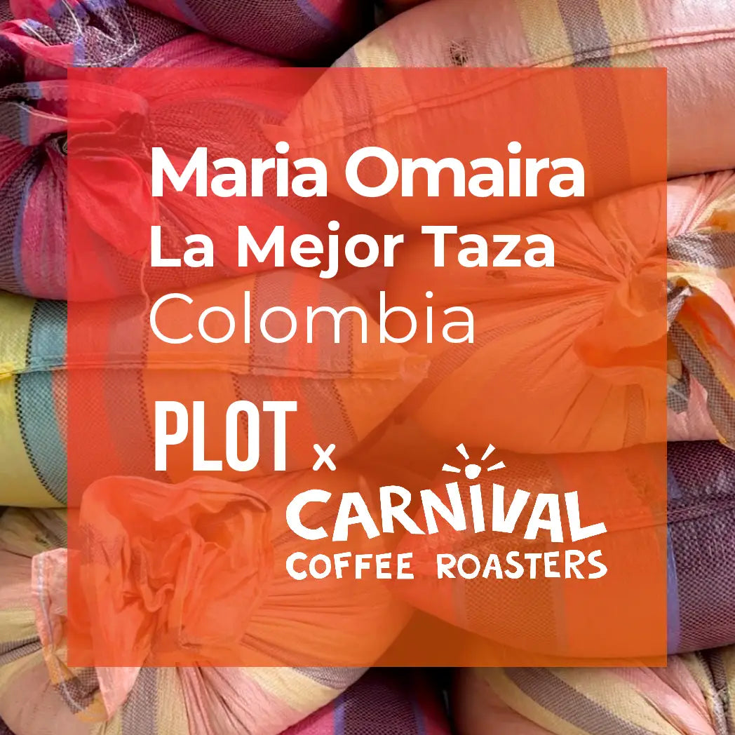 MARIA OMAIRA, Washed Gesha