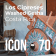 Product thumbnail for ICON Limited Release coffee 70: Los Cipreses Washed Gesha from Costa Rica
