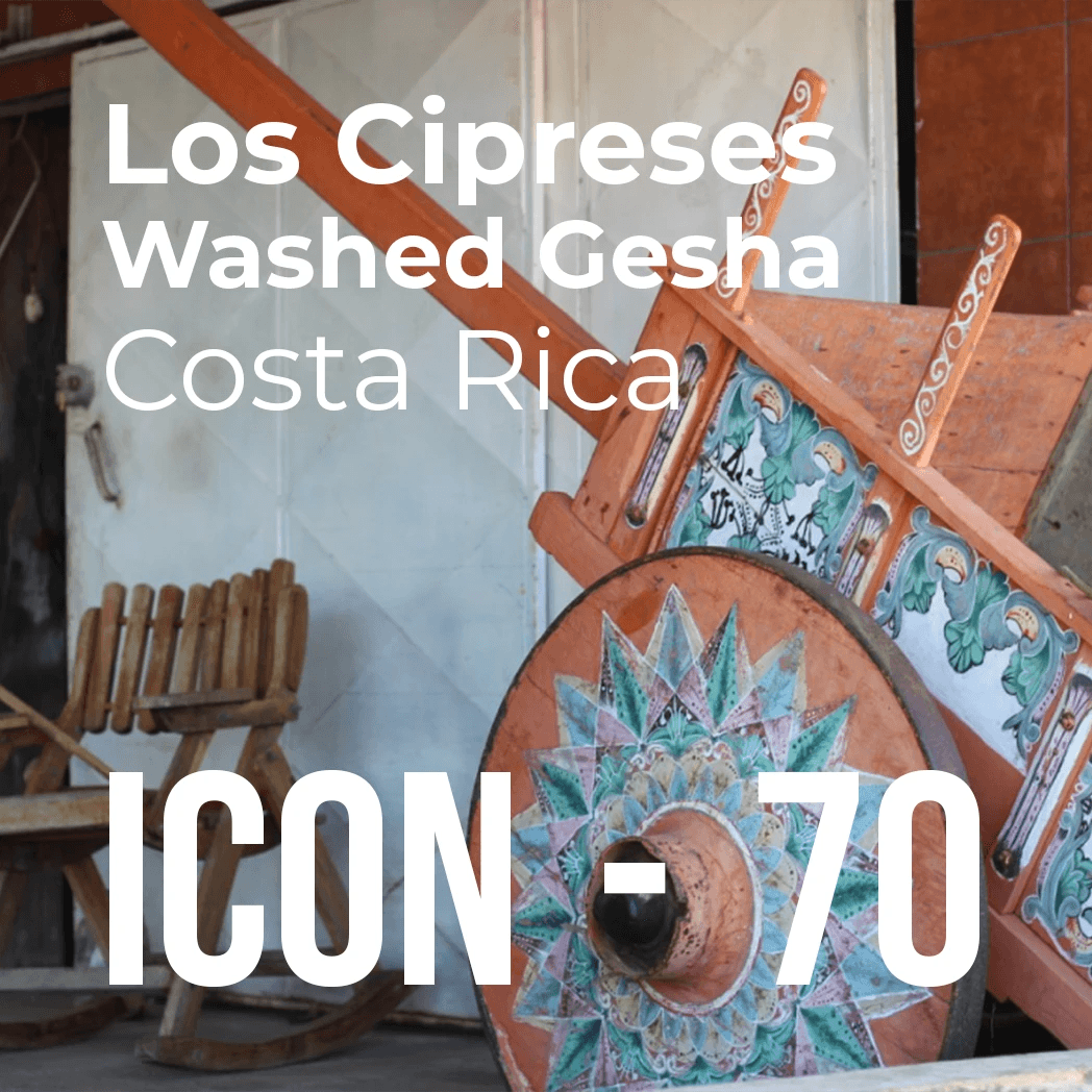 Product thumbnail for ICON Limited Release coffee 70: Los Cipreses Washed Gesha from Costa Rica