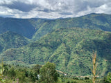 BUKANDA HILL, Lot 63 - Fully Washed