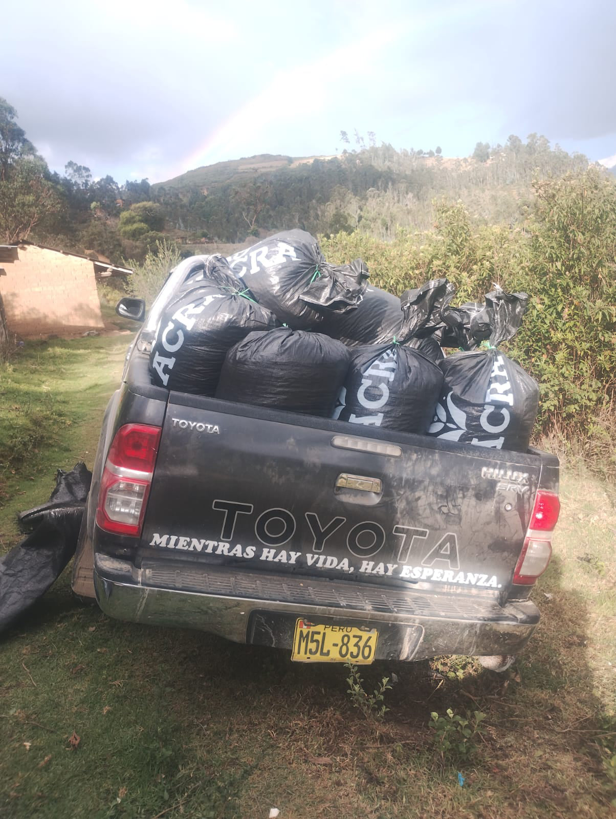ELZER GARCIA, La Shapa Washed Caturra