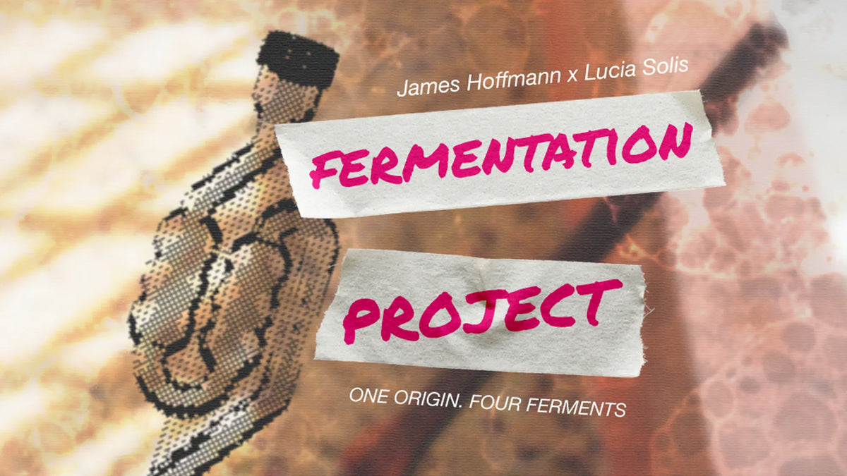 Album cover art for 'Fermentation Project' by James Hoffmann x Lucia Solis, featuring a one way air lock valve on a warm, textured background with torn paper labels containing the title.
