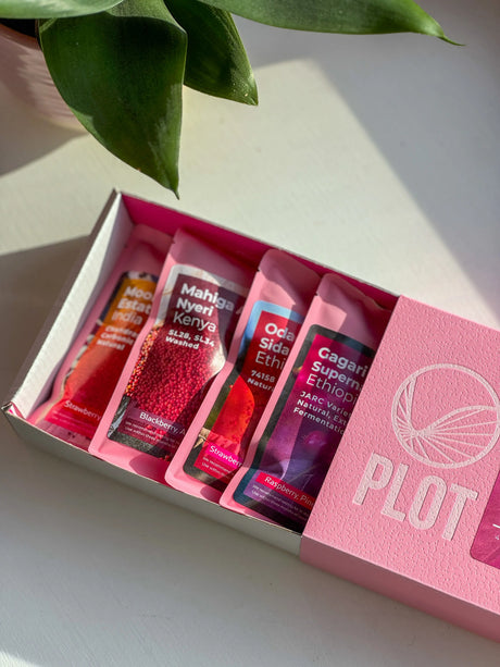 Filter Collection Box 