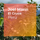 JOEL MARIN, El Cruce Anoxic Natural Gesha