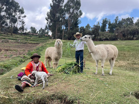 Marcelino Chinguel and his wife Grimanes feeding their animals on their coffee farm