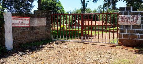 Entrance gate to Thiriku Coffee Factory in Nyeri, Kenya