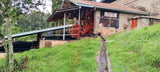Pulping area at Thiriku coffee factory in Nyeri, Kenya