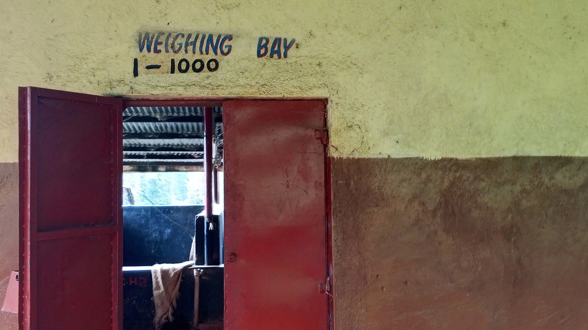 Entrance to the weighing bay at Thiriku coffee factory in Nyeri, Kenya