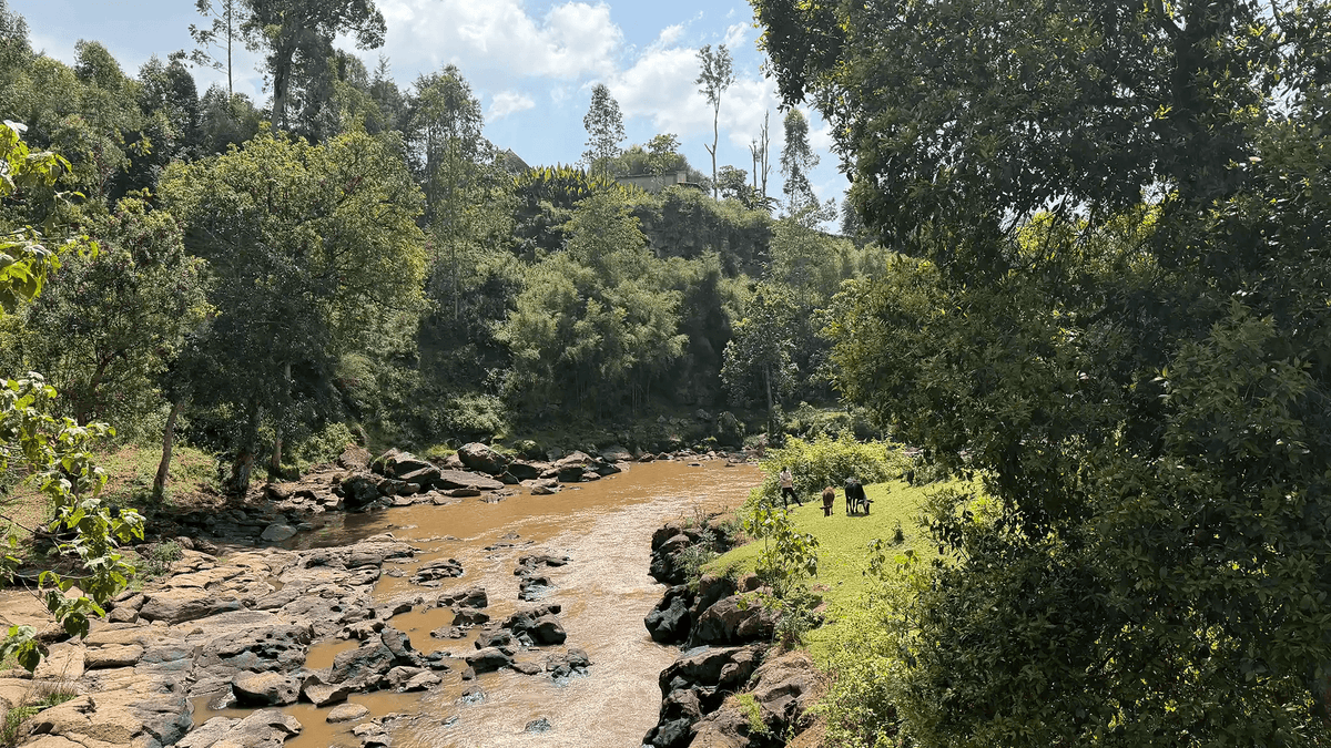 A beautiful river scene from Sidama in Ethiopia